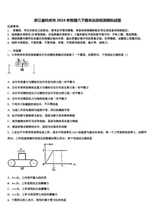 浙江省杭州市2024年物理八下期末达标检测模拟试题含解析.doc