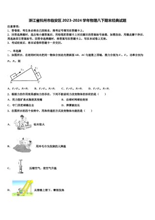 浙江省杭州市临安区2023-2024学年物理八下期末经典试题含解析.doc