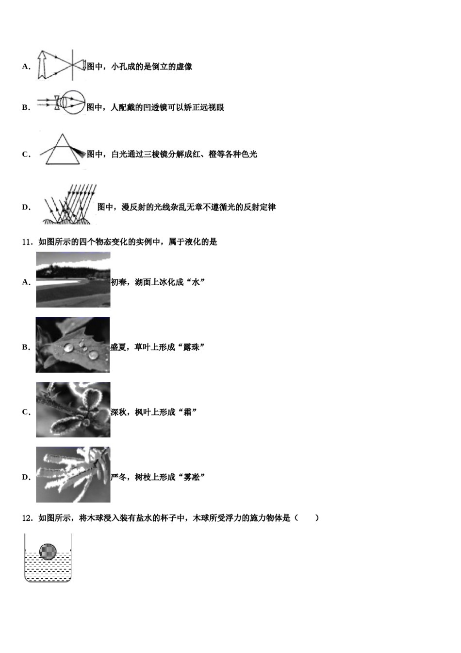 浙江省杭州杭州经济开发区五校联考2024年物理八下期末综合测试模拟试题含解析.doc_第3页