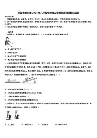 浙江省桐乡市2024年八年级物理第二学期期末调研模拟试题含解析.doc