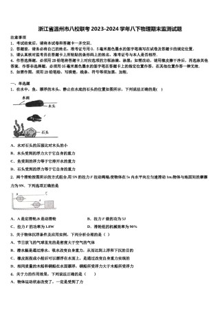 浙江省温州市八校联考2023-2024学年八下物理期末监测试题含解析.doc