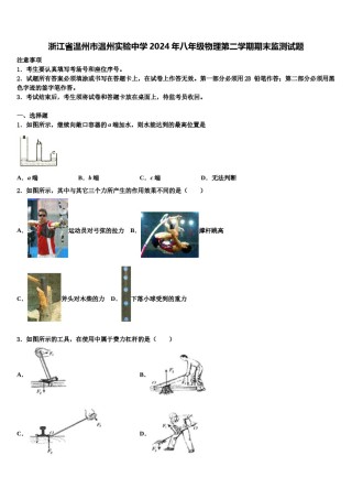 浙江省温州市温州实验中学2024年八年级物理第二学期期末监测试题含解析.doc