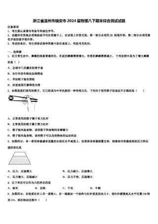 浙江省温州市瑞安市2024届物理八下期末综合测试试题含解析.doc