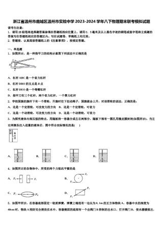 浙江省温州市鹿城区温州市实验中学2023-2024学年八下物理期末联考模拟试题含解析.doc