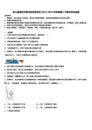 浙江省湖州市南浔区实验学校2023-2024学年物理八下期末考试试题含解析.doc