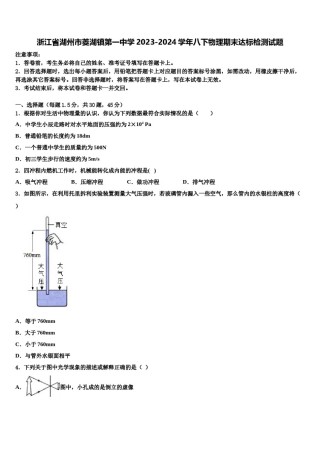 浙江省湖州市菱湖镇第一中学2023-2024学年八下物理期末达标检测试题含解析.doc