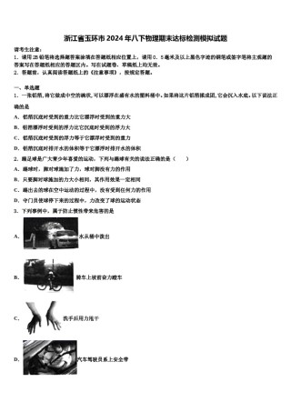 浙江省玉环市2024年八下物理期末达标检测模拟试题含解析.doc