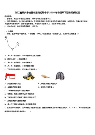浙江省绍兴市诸暨市暨阳初级中学2024年物理八下期末经典试题含解析.doc