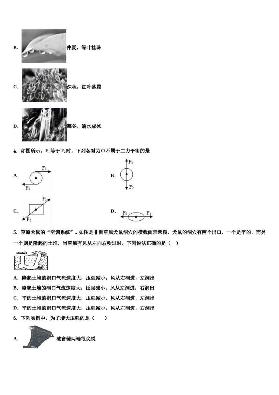 浙江省绍兴越城区五校联考2024年八年级物理第二学期期末考试模拟试题含解析.doc_第2页