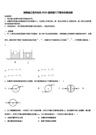 海南省三亚市名校2024届物理八下期末经典试题含解析.doc
