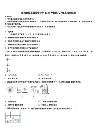 海南省临高县美台中学2024年物理八下期末检测试题含解析.doc
