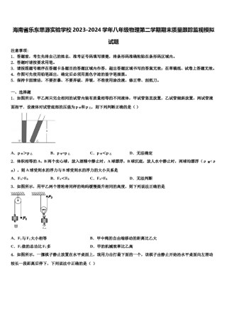 海南省乐东思源实验学校2023-2024学年八年级物理第二学期期末质量跟踪监视模拟试题含解析.doc