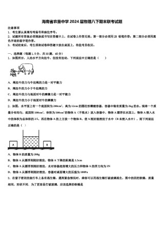 海南省农垦中学2024届物理八下期末联考试题含解析.doc