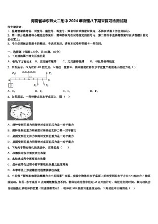 海南省华东师大二附中2024年物理八下期末复习检测试题含解析.doc