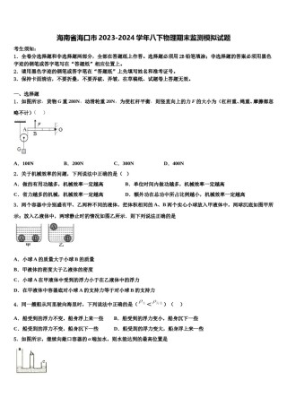 海南省海口市2023-2024学年八下物理期末监测模拟试题含解析.doc