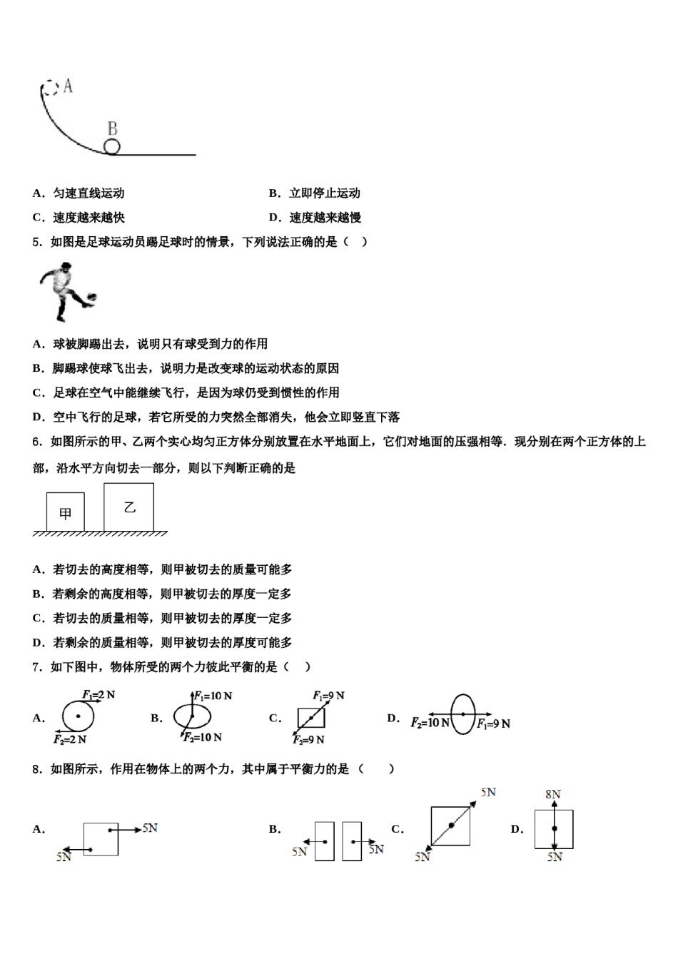 海南省海口市丰南中学2023-2024学年八年级物理第二学期期末质量检测模拟试题含解析.doc_第2页