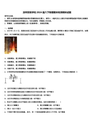 深圳实验学校2024届八下物理期末检测模拟试题含解析.doc
