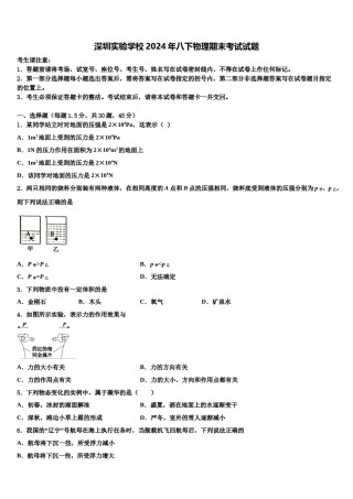 深圳实验学校2024年八下物理期末考试试题含解析.doc