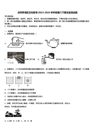 深圳罗湖区五校联考2023-2024学年物理八下期末监测试题含解析.doc