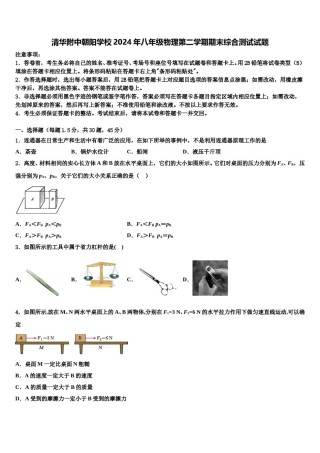 清华附中朝阳学校2024年八年级物理第二学期期末综合测试试题含解析.doc