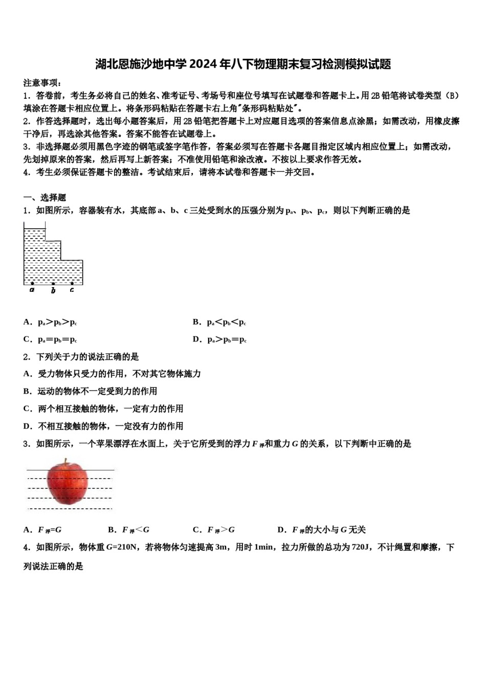 湖北恩施沙地中学2024年八下物理期末复习检测模拟试题含解析.doc_第1页
