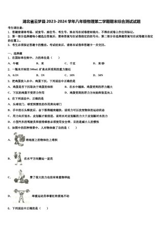 湖北省云梦县2023-2024学年八年级物理第二学期期末综合测试试题含解析.doc