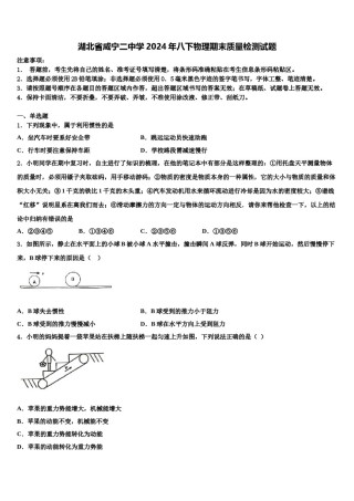 湖北省咸宁二中学2024年八下物理期末质量检测试题含解析.doc