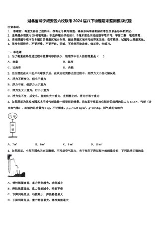 湖北省咸宁咸安区六校联考2024届八下物理期末监测模拟试题含解析.doc