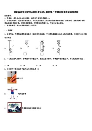 湖北省咸宁咸安区六校联考2024年物理八下期末学业质量监测试题含解析.doc