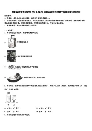 湖北省咸宁市咸安区2023-2024学年八年级物理第二学期期末检测试题含解析.doc