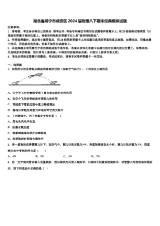 湖北省咸宁市咸安区2024届物理八下期末经典模拟试题含解析.doc
