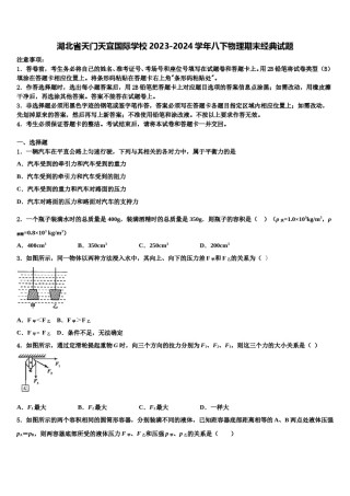 湖北省天门天宜国际学校2023-2024学年八下物理期末经典试题含解析.doc