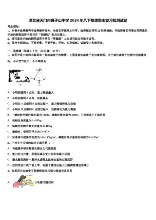 湖北省天门市佛子山中学2024年八下物理期末复习检测试题含解析.doc
