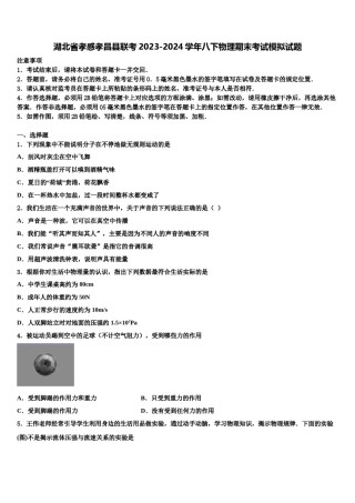 湖北省孝感孝昌县联考2023-2024学年八下物理期末考试模拟试题含解析.doc