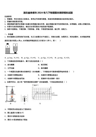 湖北省孝感市2024年八下物理期末调研模拟试题含解析.doc