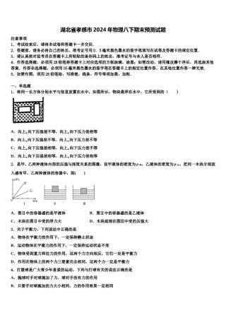 湖北省孝感市2024年物理八下期末预测试题含解析.doc