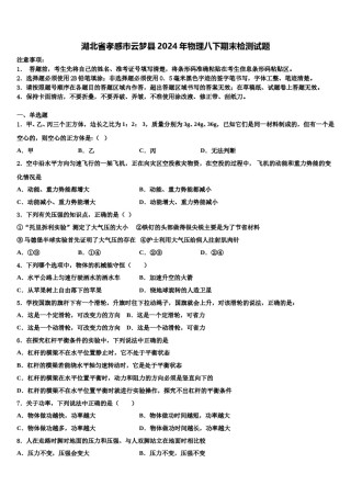 湖北省孝感市云梦县2024年物理八下期末检测试题含解析.doc