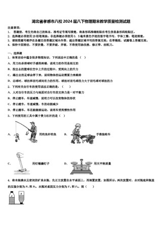湖北省孝感市八校2024届八下物理期末教学质量检测试题含解析.doc