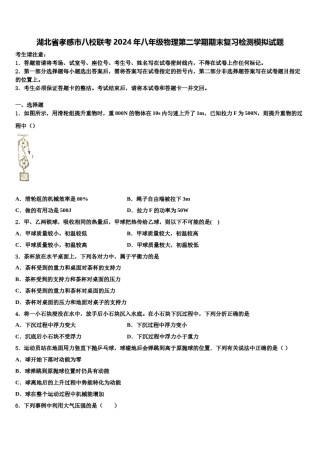 湖北省孝感市八校联考2024年八年级物理第二学期期末复习检测模拟试题含解析.doc