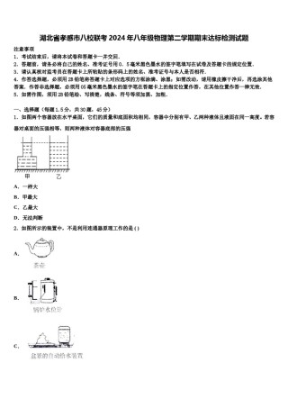 湖北省孝感市八校联考2024年八年级物理第二学期期末达标检测试题含解析.doc