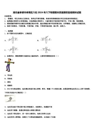 湖北省孝感市孝南区八校2024年八下物理期末质量跟踪监视模拟试题含解析.doc