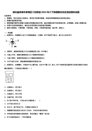 湖北省孝感市孝南区十校联谊2024年八下物理期末综合测试模拟试题含解析.doc