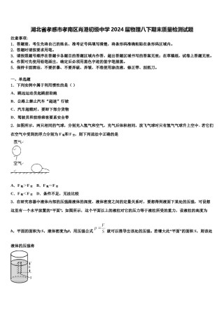 湖北省孝感市孝南区肖港初级中学2024届物理八下期末质量检测试题含解析.doc