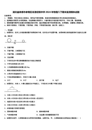 湖北省孝感市孝南区肖港初级中学2024年物理八下期末监测模拟试题含解析.doc