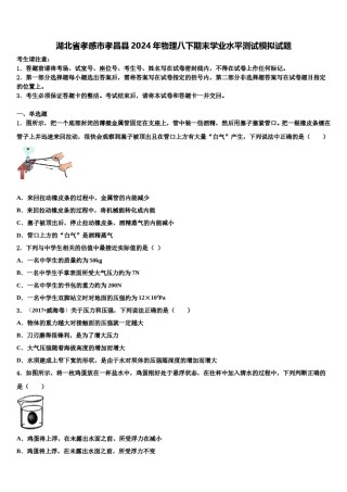 湖北省孝感市孝昌县2024年物理八下期末学业水平测试模拟试题含解析.doc