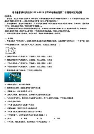 湖北省孝感市安陆市2023-2024学年八年级物理第二学期期末监测试题含解析.doc