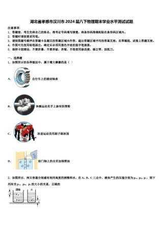 湖北省孝感市汉川市2024届八下物理期末学业水平测试试题含解析.doc