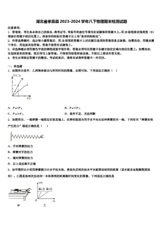湖北省孝昌县2023-2024学年八下物理期末检测试题含解析.doc