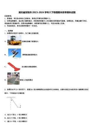 湖北省安陆市2023-2024学年八下物理期末统考模拟试题含解析.doc