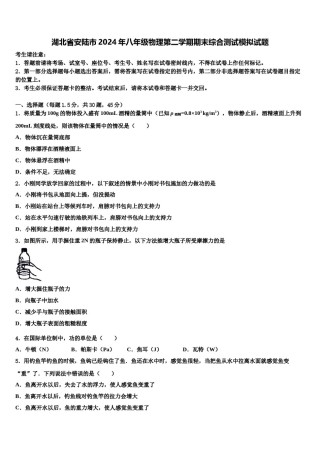 湖北省安陆市2024年八年级物理第二学期期末综合测试模拟试题含解析.doc